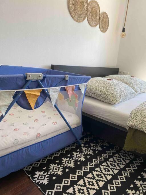 Gemuetliche Wohnung -Schwarzwald Neuweiler  Exteriör bild